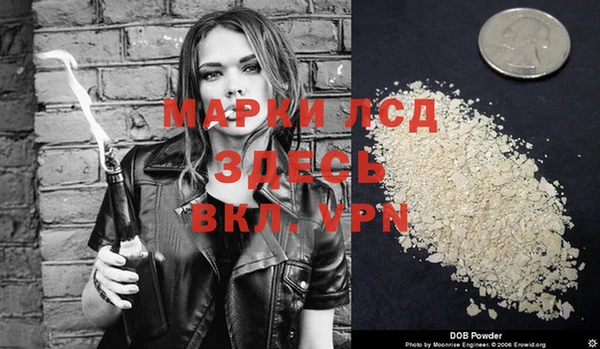 шишки Арсеньев