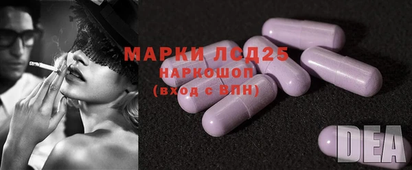 шишки Арсеньев