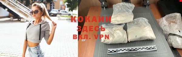 шишки Арсеньев