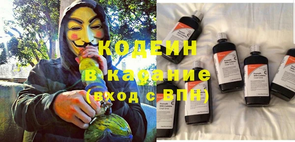 шишки Арсеньев