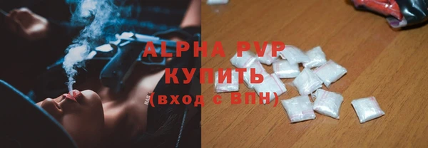 шишки Арсеньев