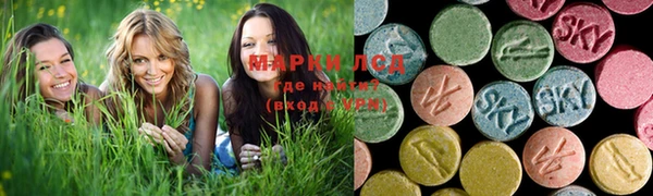 шишки Арсеньев
