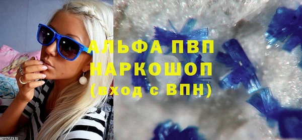 шишки Арсеньев