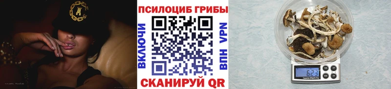 Псилоцибиновые грибы GOLDEN TEACHER  кракен рабочий сайт  Оленегорск 