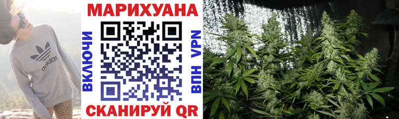 Шишки марихуана Amnesia  Оленегорск 